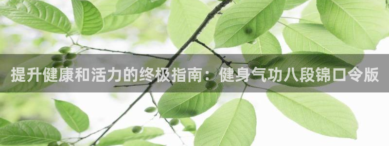 龙8游戏平台的网站