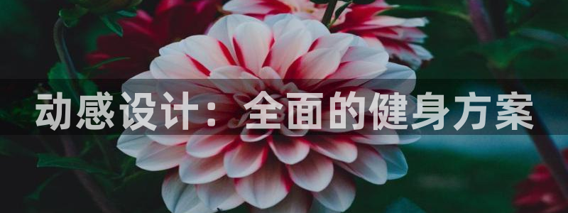 龙8游戏网站