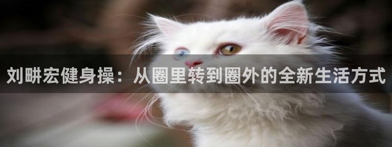 龙八国际首页