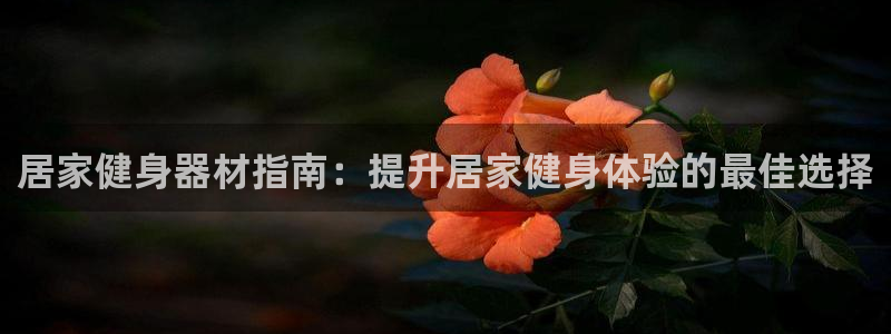 龙八国际娱乐在线游戏