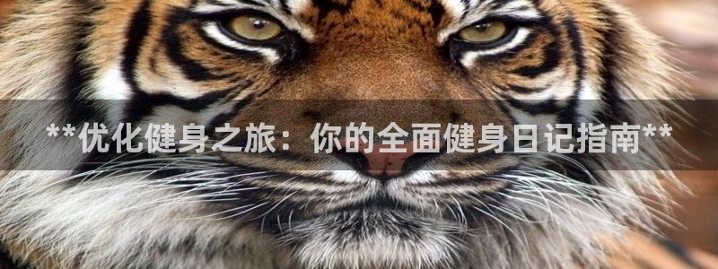 龙8国际免费试玩