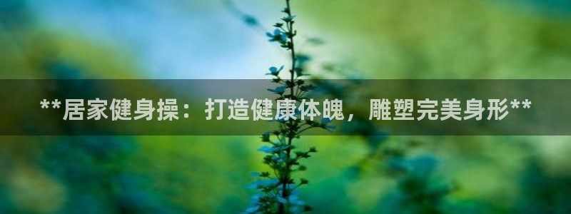 龙8国际官网版手机版