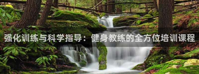 龙8游戏入口