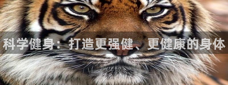 龙八国际娱乐网页多少