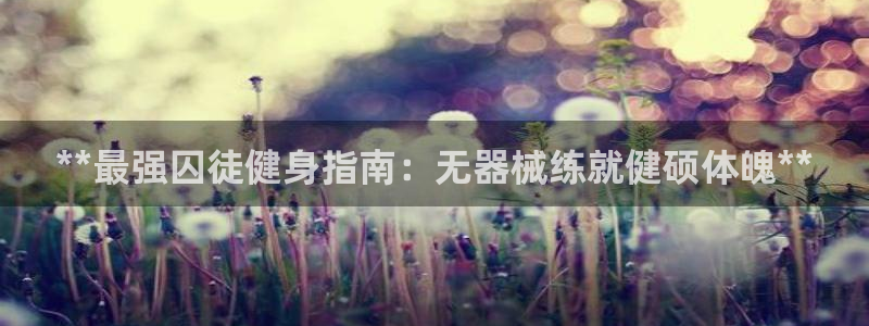 龙8国际安卓版