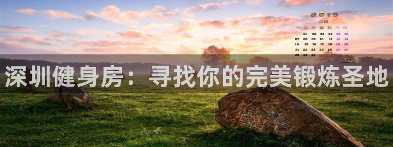 龙8国际pt