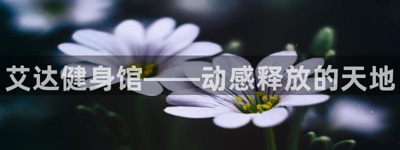 龙8国际网址是什么