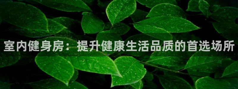 龙8国际被侦破了吗