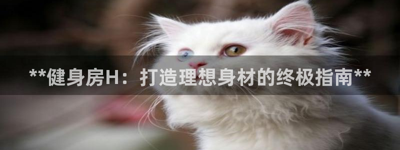 龙8国际网址