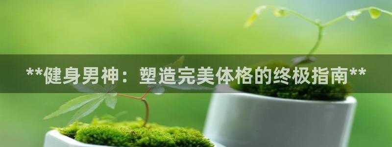 龙8国际官网首页