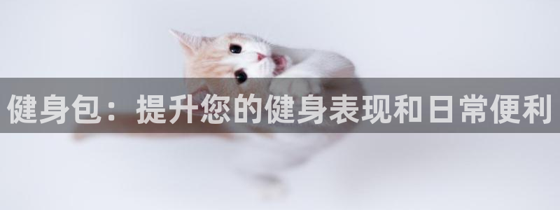 龙八国际官网下载