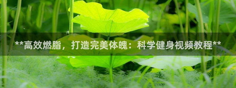 龙8国际手机网页版