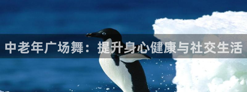 龙8国际long8