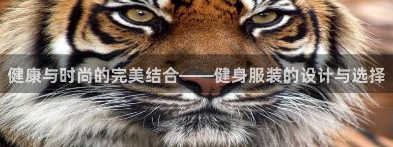 龙8电子游艺网址多少