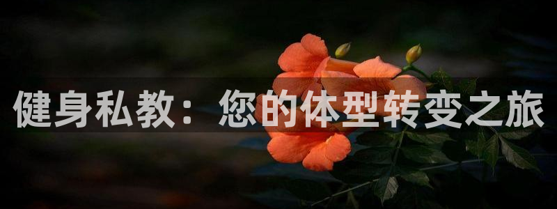 龙八国际首页