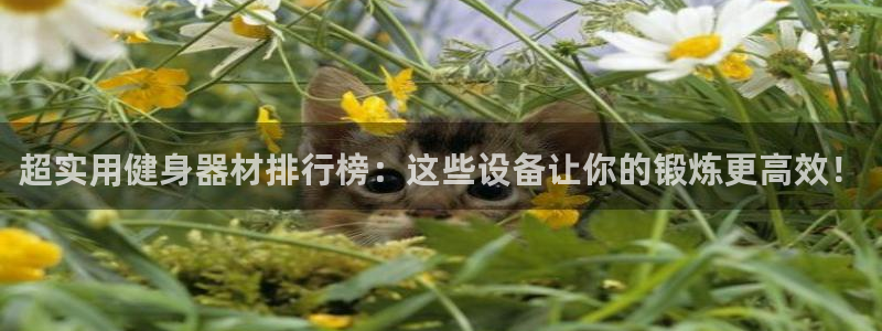 国际龙8下载
