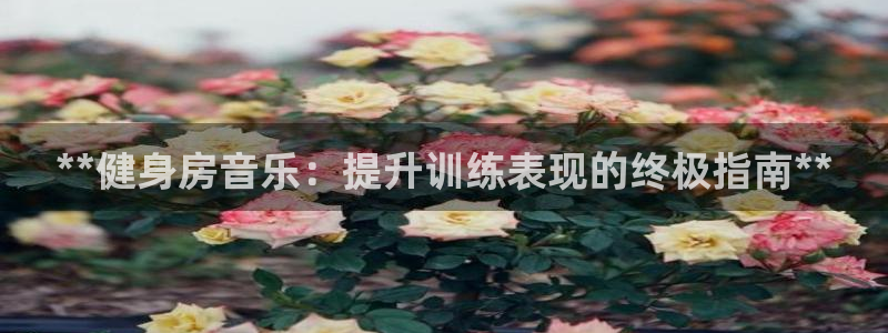 国际龙8官方网站