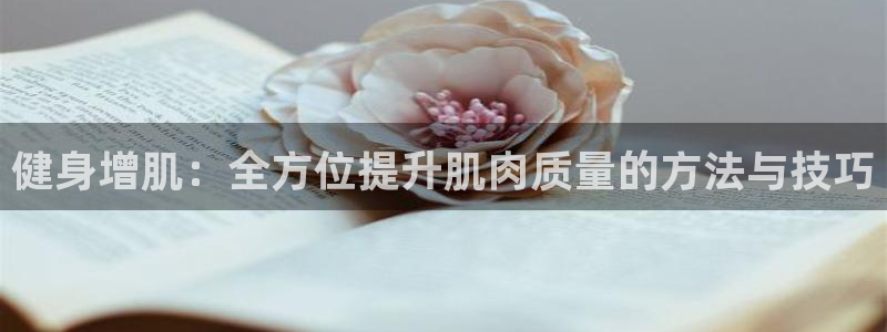 龙8国际网站怎么样