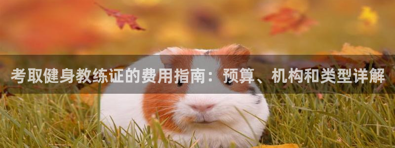 龙8国际头号玩家是谁