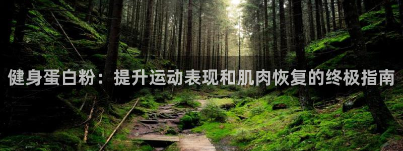 国际龙8官网pt客户端