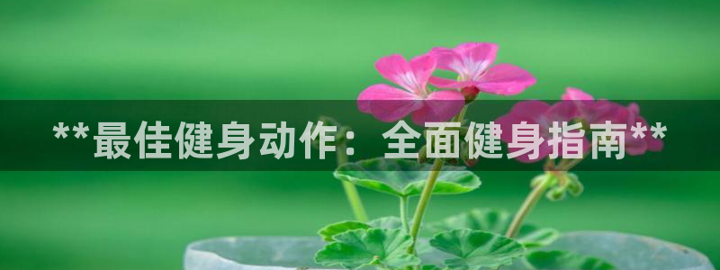龙8国际龙8官方