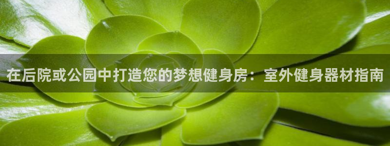 龙8国际官网版玩法