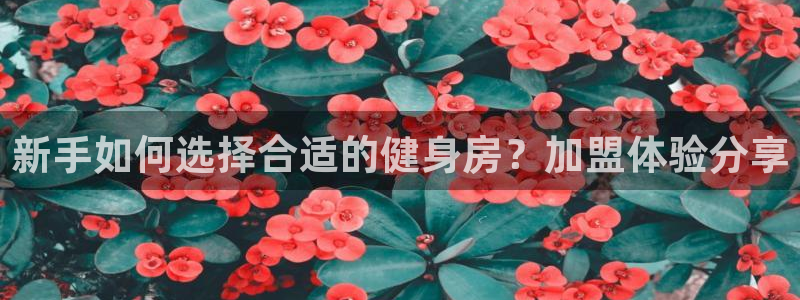 龙8国际下载