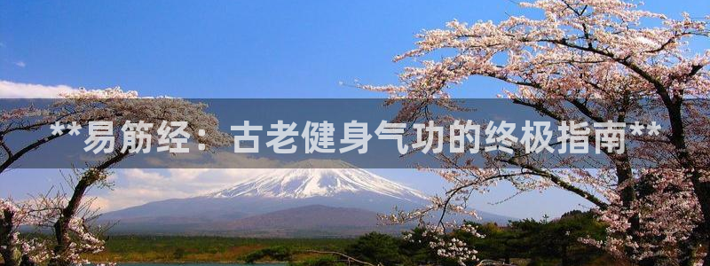 龙8国际平台官网