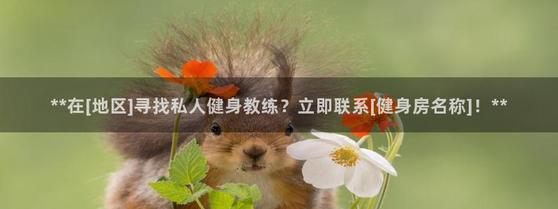 龙8国际手机版app