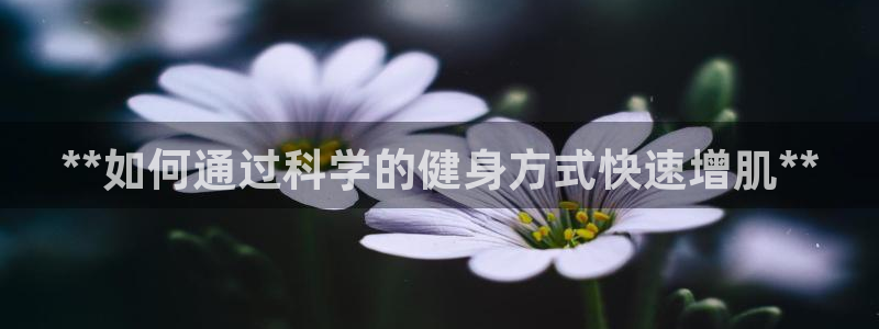 龙8国际-我的
