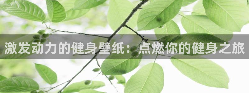 龙八国际pt