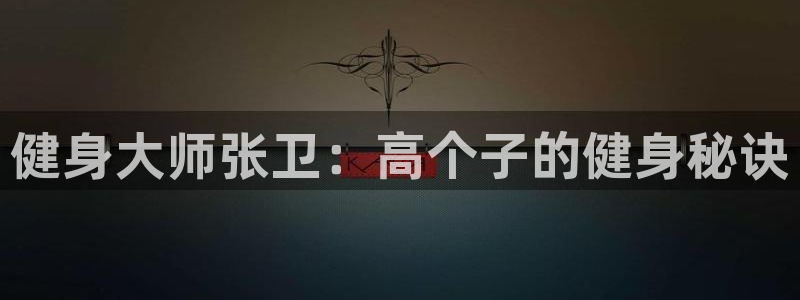 龙8国际备用