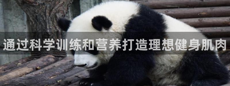 龙8国际的官网
