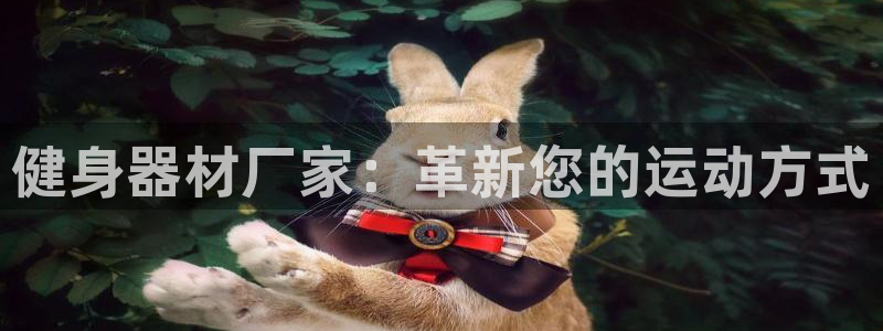 龙8游戏官方进入