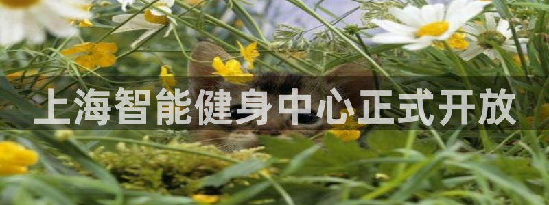 龙8国际玩家