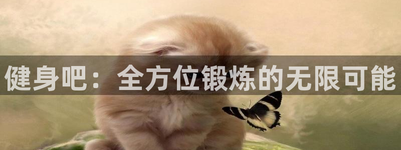 龙8国际怎么下载