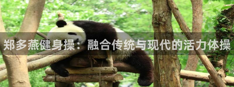 龙8国际ing