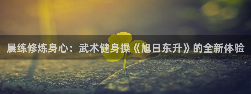 龙8国际安卓版
