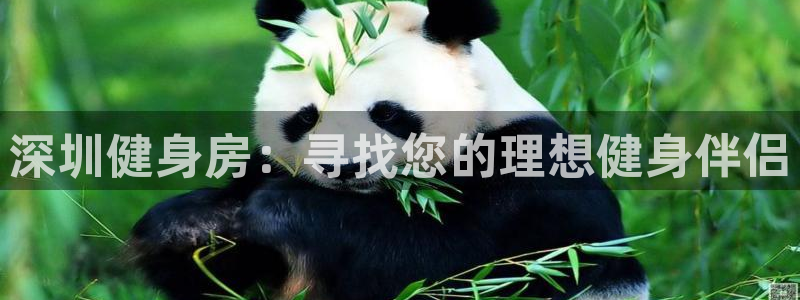 龙8国际官网下载地址