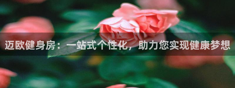 龙8官网游戏