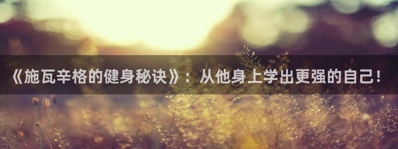 龙8国际com