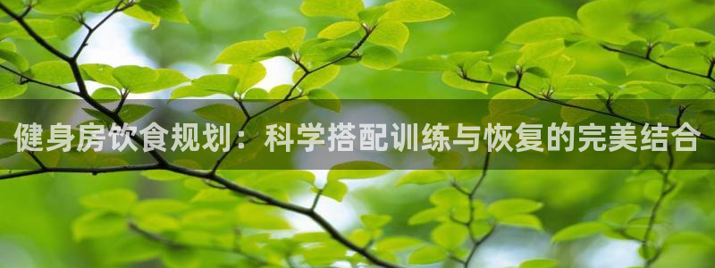 龙8国际老虎机官网