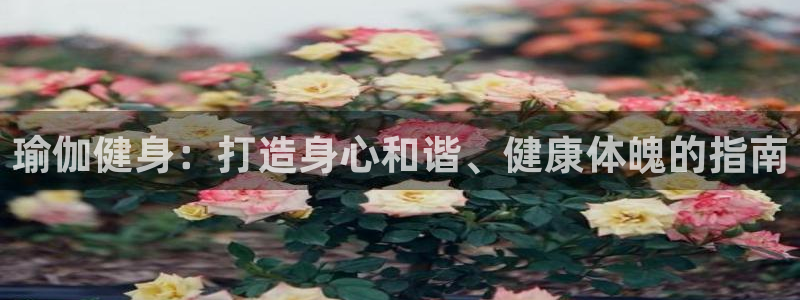 龙八棋牌