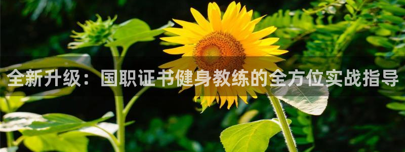 龙8游戏城网址