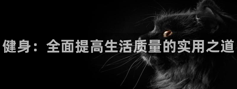 下载龙八国际官网