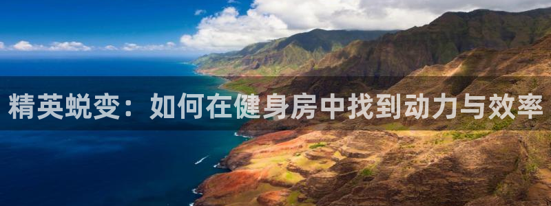 龙8电子游艺网址多少