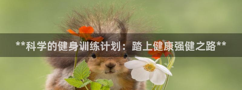 龙8国际游戏公司官网