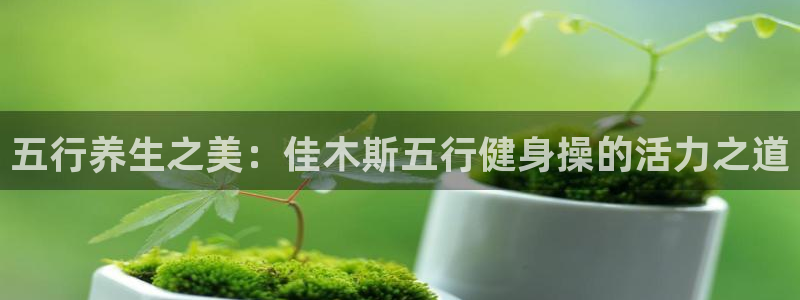 龙8国际app客户端下载不了