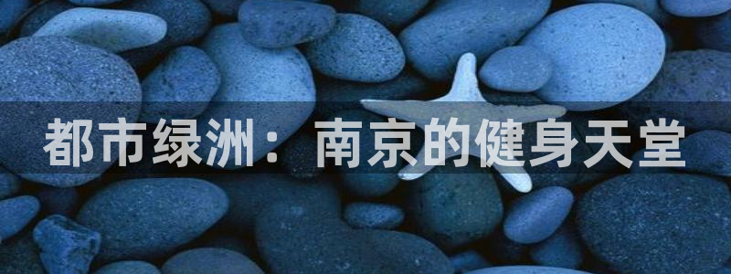 龙8国际网页版下载