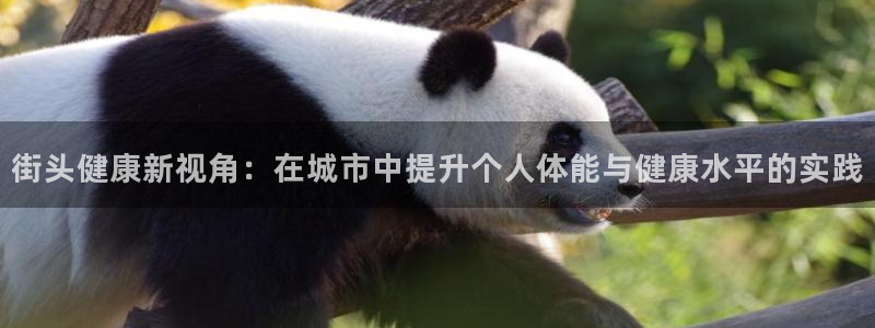 龙8国际2021官方网站pkufli5.10